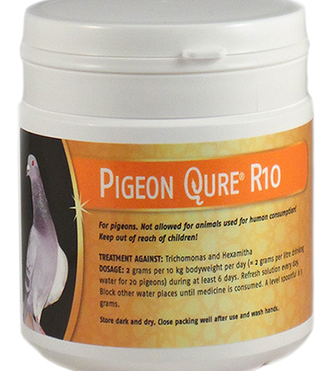 بجن كيور – PIGEON QURE